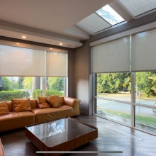 Lutron Smart Lighting and Shades System & Control4 Smart Upgrade